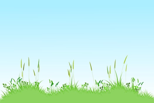 summer reeds grass background. meadow landscape. grass and sky background vector