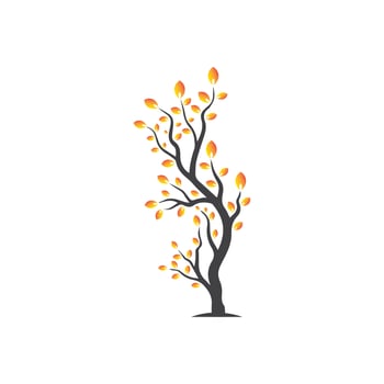 Vector branch , Hand drawn illustration of tree branch design template
