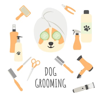 Dog grooming poster on white background with corgi and grooming equipment. Pet care. vector