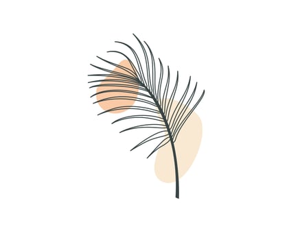 Aesthetic Palm Leaf. Plant Vector Design