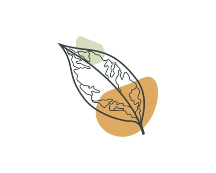 Aesthetic ficus elastica Leaf. Plant Vector Design