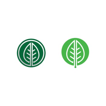 Tree leaf vector and green logo design friendly concept
