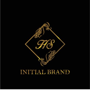 initial HS handwritten luxury letter template vector