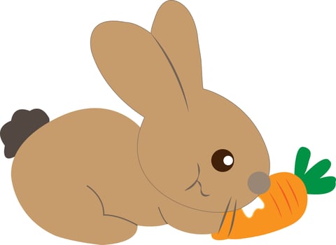 Brown rabbit eating carrots isolated on white background. vector