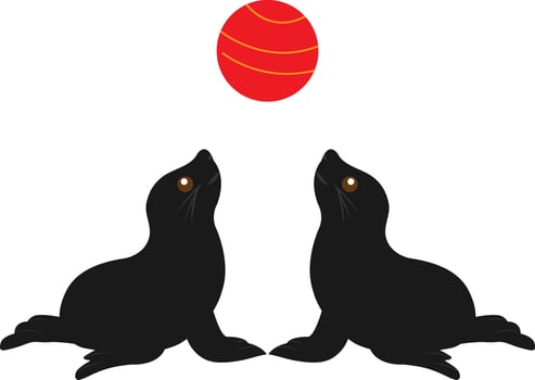 Seals are playing red ball isolated on white background. vector