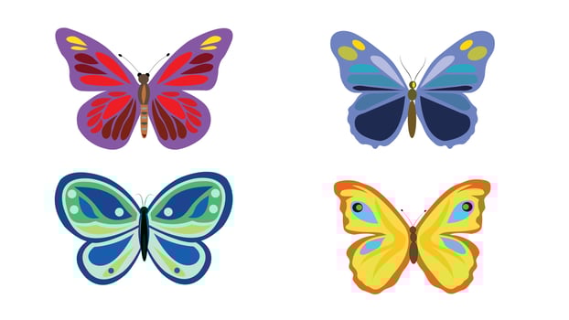 Colorful butterfly group isolated on background. vector