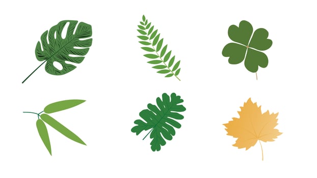 Illustration of various leaf groups isolated on white background. vector