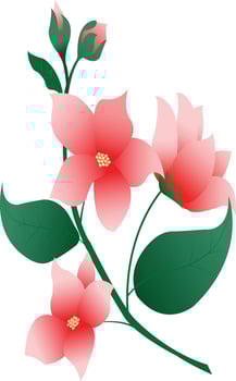 A bunch of red flowers isolated on background. Greeting card. vector