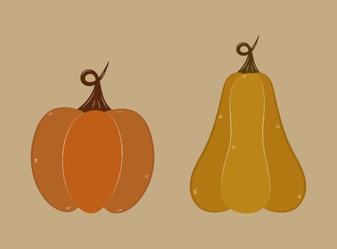 Isolated doodle pumpkin stickers. Vector hand-drawn cozy pumpkins . Autumn thanksgiving, halloween illustration