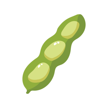 Fava Beans Vegetable 2D Illustration png