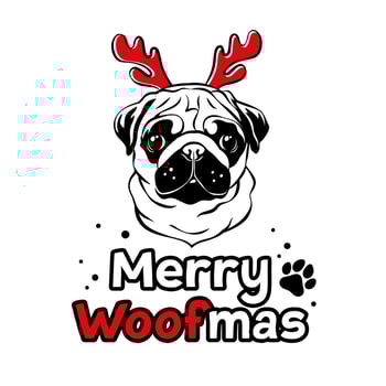 Cute pug with red red reindeer antlers. Christmas pug dog portrait. Merry woofmas text. Vector illustration