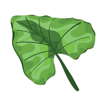 tropical leaf plant vector