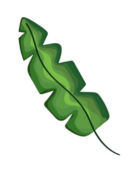 green leaf palm vector