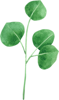 Green Leaf Element watercolor png