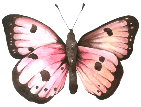 Butterfly watercolor hand paint png
