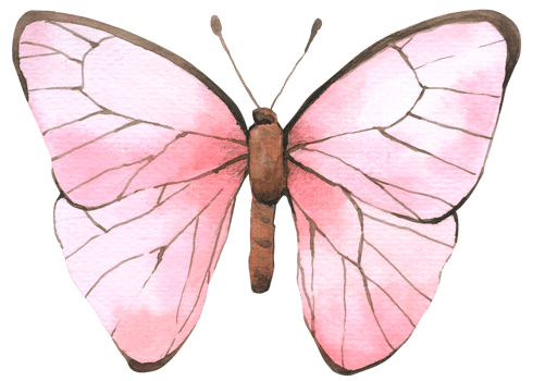 Butterfly watercolor hand paint png