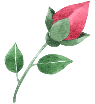 Flower watercolor wedding flower png