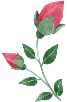 Flower watercolor wedding flower png