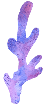coral watercolor hand paint png