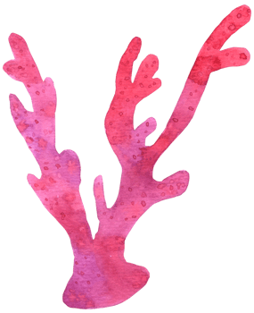 coral watercolor hand paint png