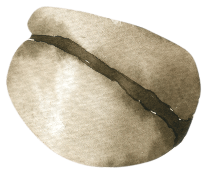 Coffee bean watercolor hand paint png
