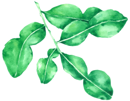 Vegetable watercolor hand paint png