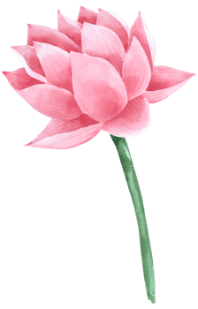 Lotus watercolor hand paint png