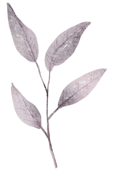 Leaf Element watercolor png