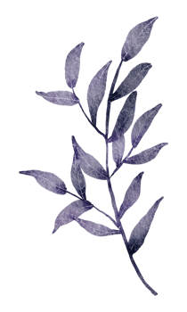 Green Leaf Element watercolor png