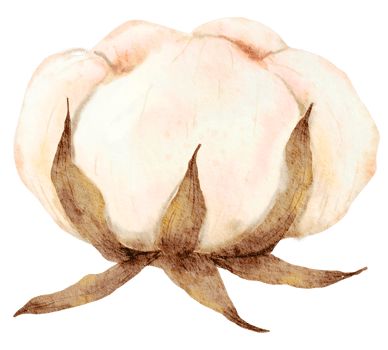 Autumn flower and Leaf  watercolor png