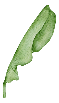 Leaf Element watercolor png