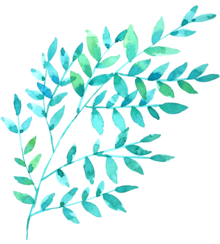 Green Leaf Element watercolor png
