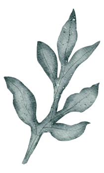 Leaf Element watercolor png