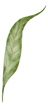 Leaf Element watercolor png