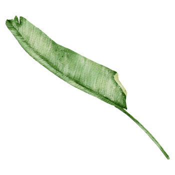 Leaf Element watercolor png
