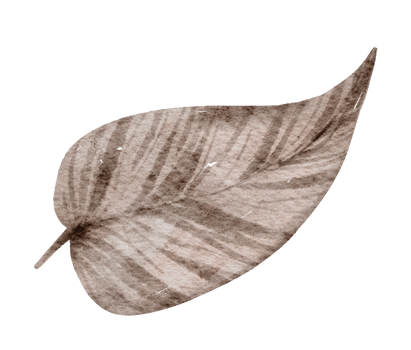 Leaf Element watercolor png
