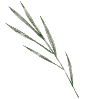 Leaf Element watercolor png