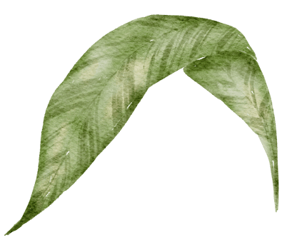 Leaf Element watercolor png