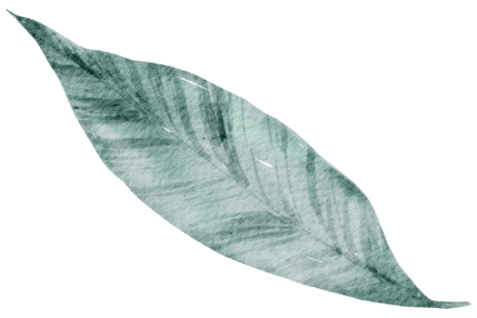 Leaf Element watercolor png