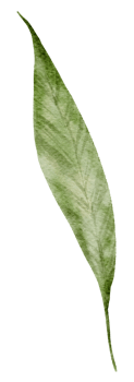 Leaf Element watercolor png