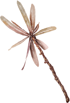 leaf watercolor transparency clipart. png