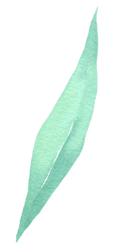Green Leaf Element watercolor png
