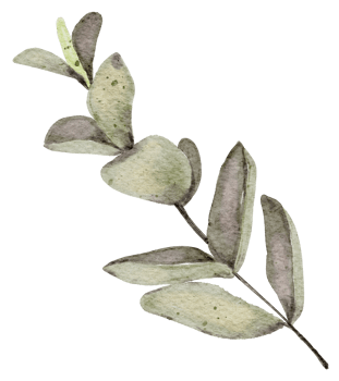 Autumn Leaf  watercolor png
