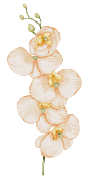 Flower Element watercolor wedding flower png