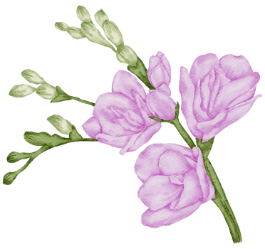 Flower Element watercolor wedding flower png