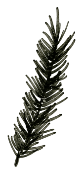 Christmas element watercolor png
