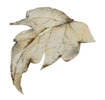 Autumn leaf watercolor png