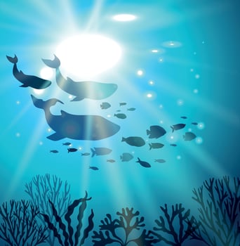 Cute blue whale, dolphin, fish and corals. World Ocean Day June 8. Tropical square poster with landscape of underwater world and marine animals. Vector illustration for design, decor, flyer.