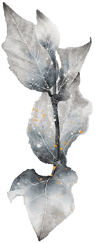 Leaf watercolor transparency. png