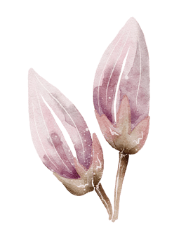 Flower watercolor transparency. png